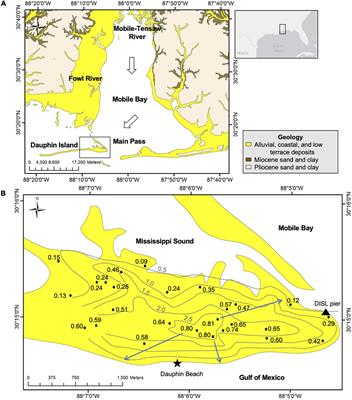 Storm-Driven Fresh Submarine Groundwater Discharge and Nutrient Fluxes From a Barrier Island